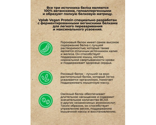 Протеин растительный изолят веганский 'VEGAN PROTEIN' 700 грамм ШОКОЛАД-КАРАМЕЛЬ